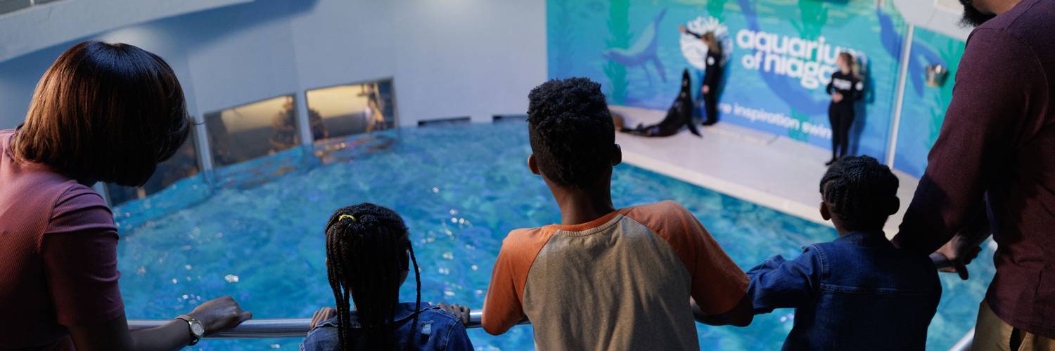 A family watching a sea lion show at Niagara Falls Aquarium