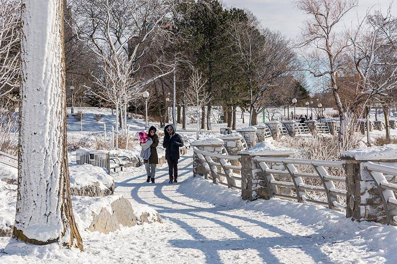 Experience the serenity of Niagara Falls State Park in the winter