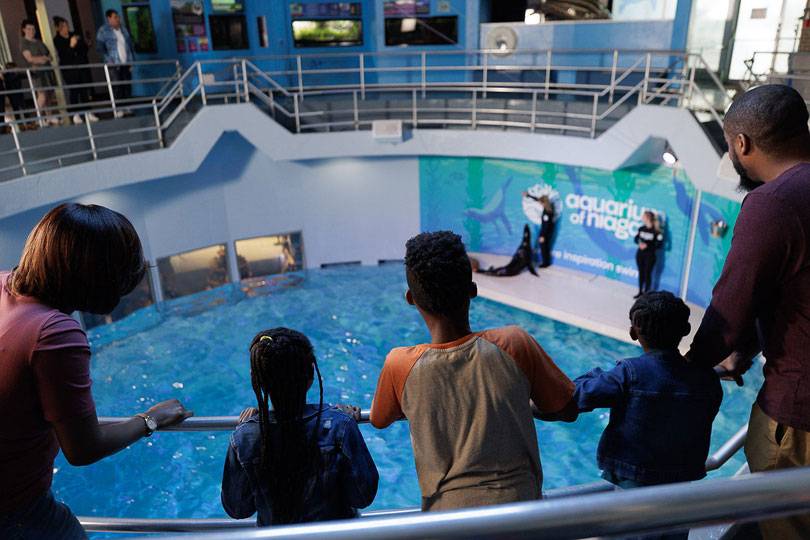 A family watching a show at the Niagara Falls Aquarium