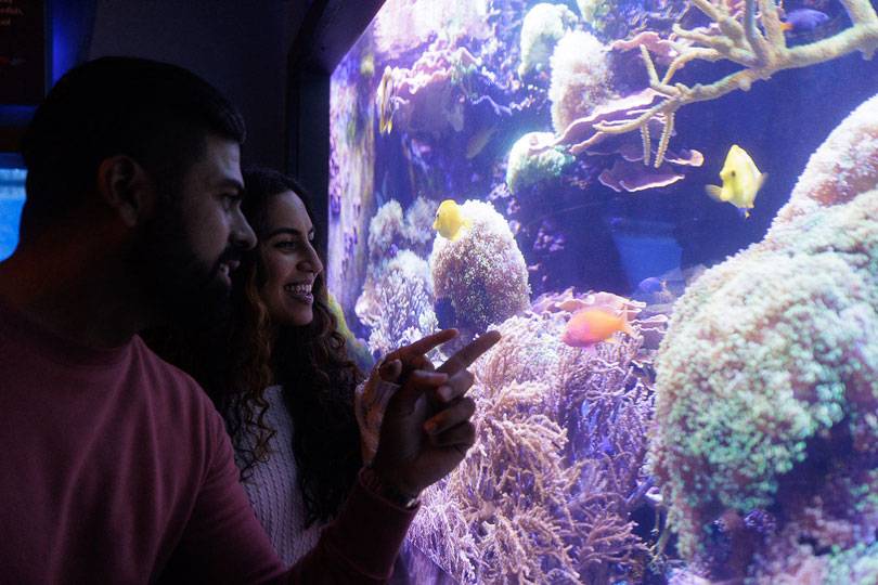 A couple watching fish at Niagara Falls Aquarium