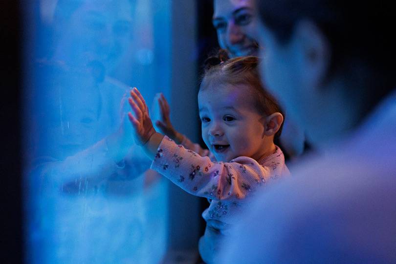 A small child watching fish at Niagara Falls Aquarium