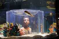 Watching fish swim at Niagara Falls Aquarium